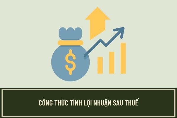 Lợi Nhuận Sau Thuế TNDN: Công Thức Tính Và Những Lưu Ý Quan Trọng
